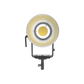 Aputure Light Storm LS 600x Pro