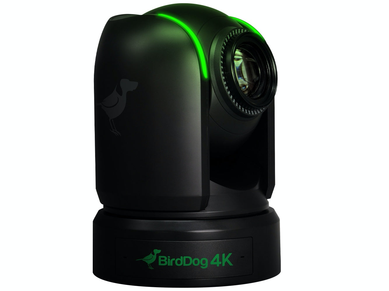 Camera robotica BirdDog P4K