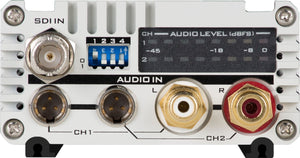 Embedor audio cu doua canale DataVideo DAC-91