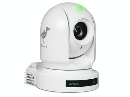 Camera robotica BirdDog P400